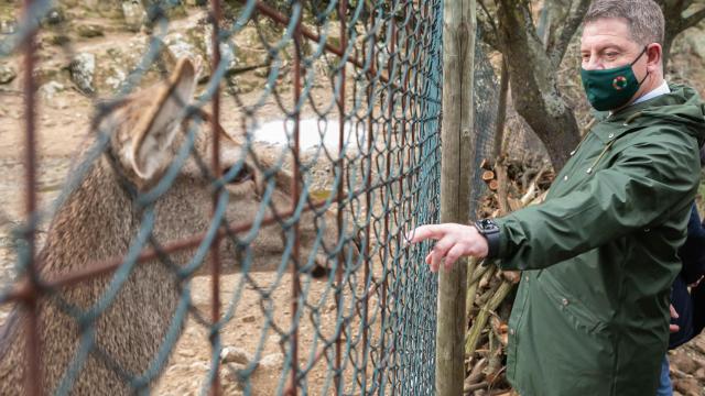 Emiliano García-Page, presidente de Castilla-La Mancha, en marzo de 2021 en el Refugio de Fauna El Borril de Polán (Toledo).