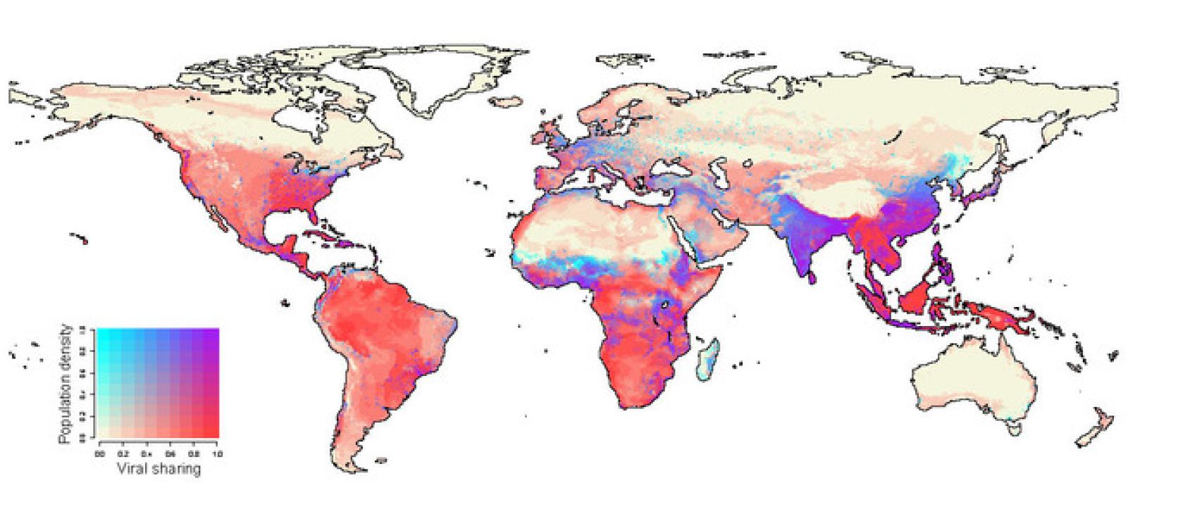 El cambio climático impulsará nuevos intercambios virales entre especies de mamíferos.