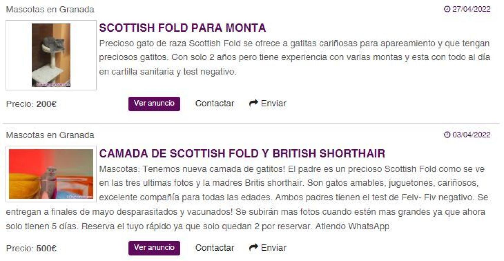 Algunos perfiles ganan dinero con las montas y luego venden los excedentes de la camada.