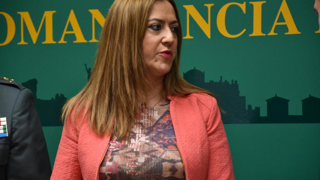 La delegada del Gobierno en Castilla y León, Virginia Barcones