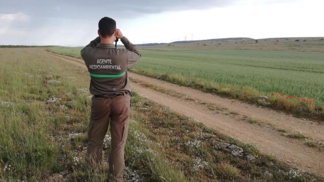Agente medioambiental de la Junta de Castilla y León