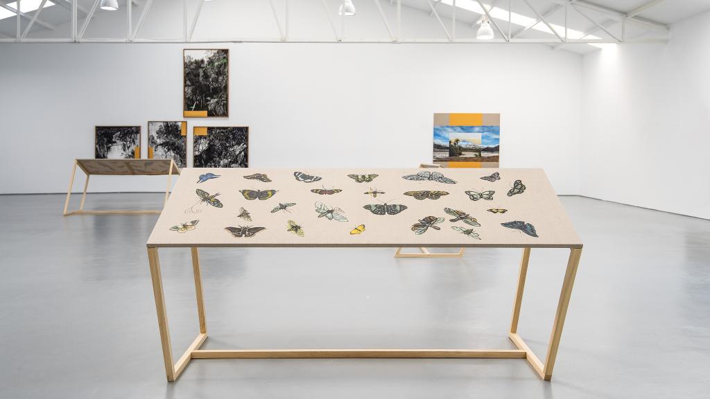 'Mariposas', 2021, de Gabriela Bettini. Cortesía de la artista y Sabrina Amrani