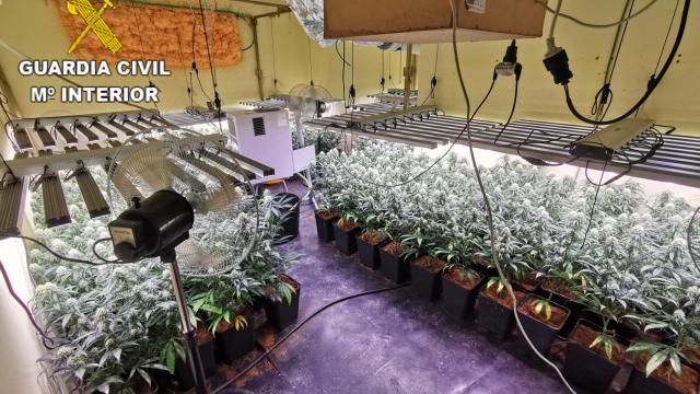 Descubren un laboratorio de droga valorado en más de 50.000 euros en un pueblo de Toledo