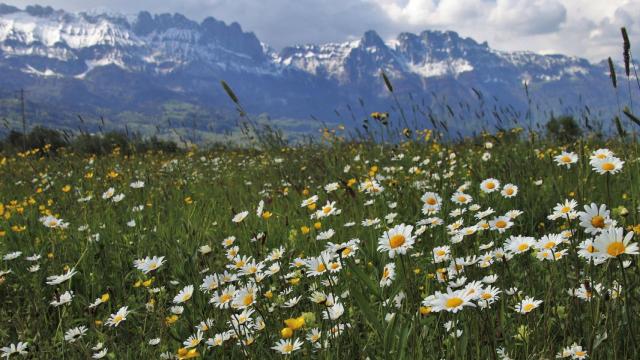 ¿De dónde viene la palabra 'mayo'?