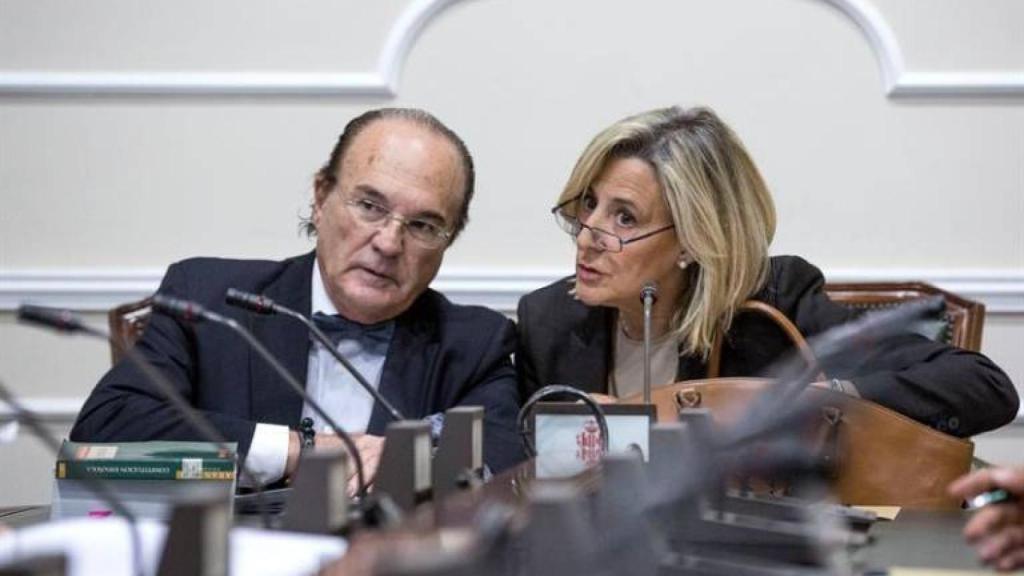 Asuncion Barberá, hermana de Barberá y jefa de gabinete, en una comisión de investigación municipal.