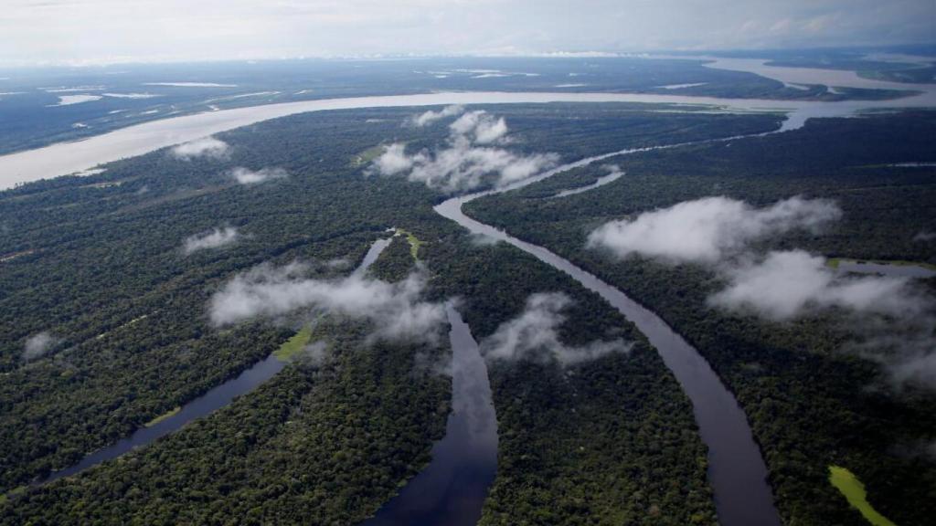 Reserva de Desarrollo Sostenible Mamirauá, en Brasil.