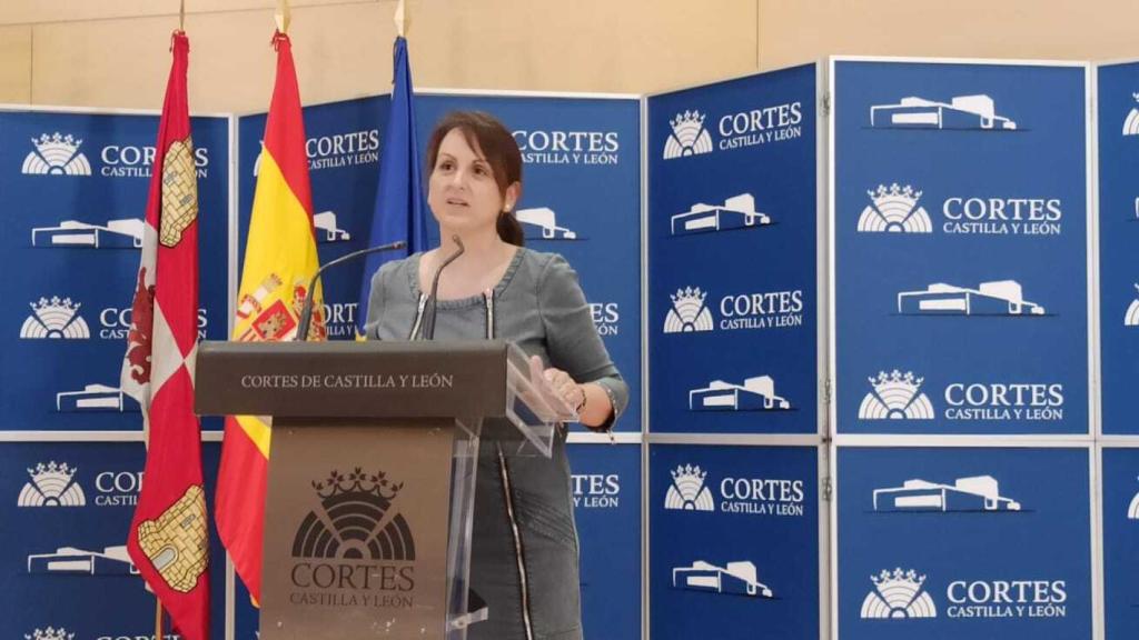 La procuradora del PSOE, Patricia Gómez Urbán, durante una rueda de prensa en las Cortes.