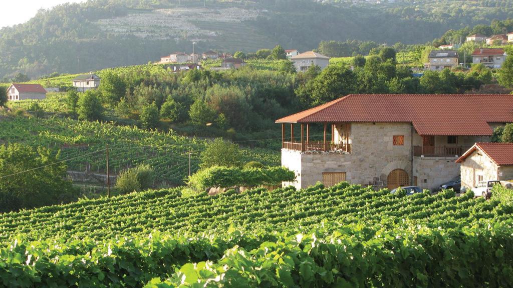 Bodega Sanclodio