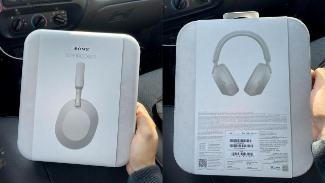 Imagen filtrada de los Sony WH-1000XM5