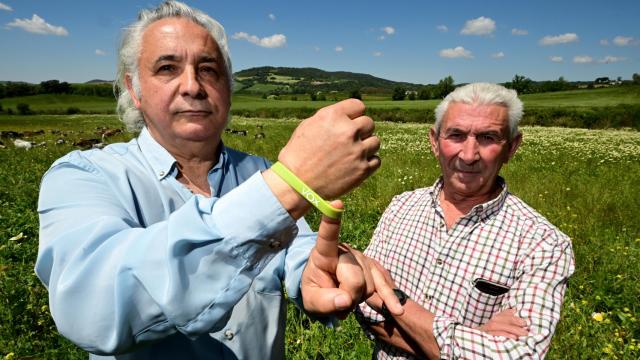 José María, enseñando su pulsera de Vox, y Daniel, con un rebaño de cabras pastando detrás.