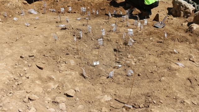 Puntas de flecha halladas en La Loma. / Foto: Kechu Torres.