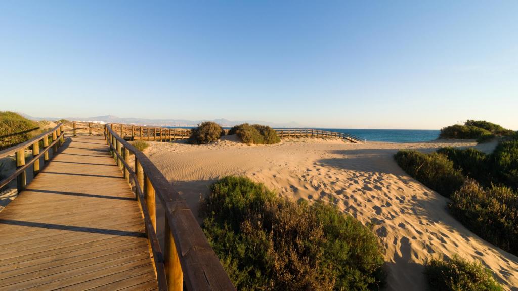 Dunas, Elche.