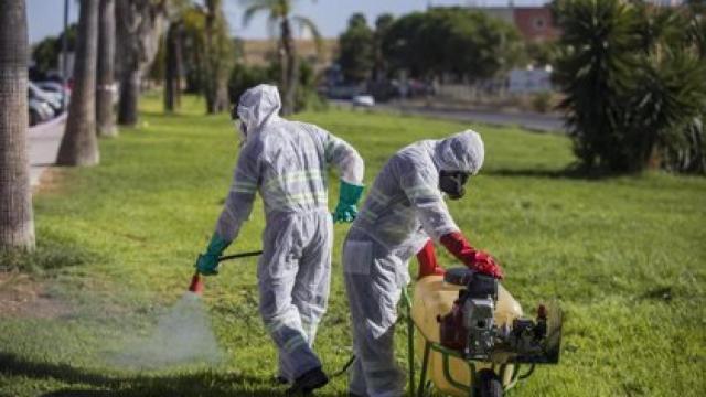 Operarios en labores de fumigación en Sevilla el verano pasado.