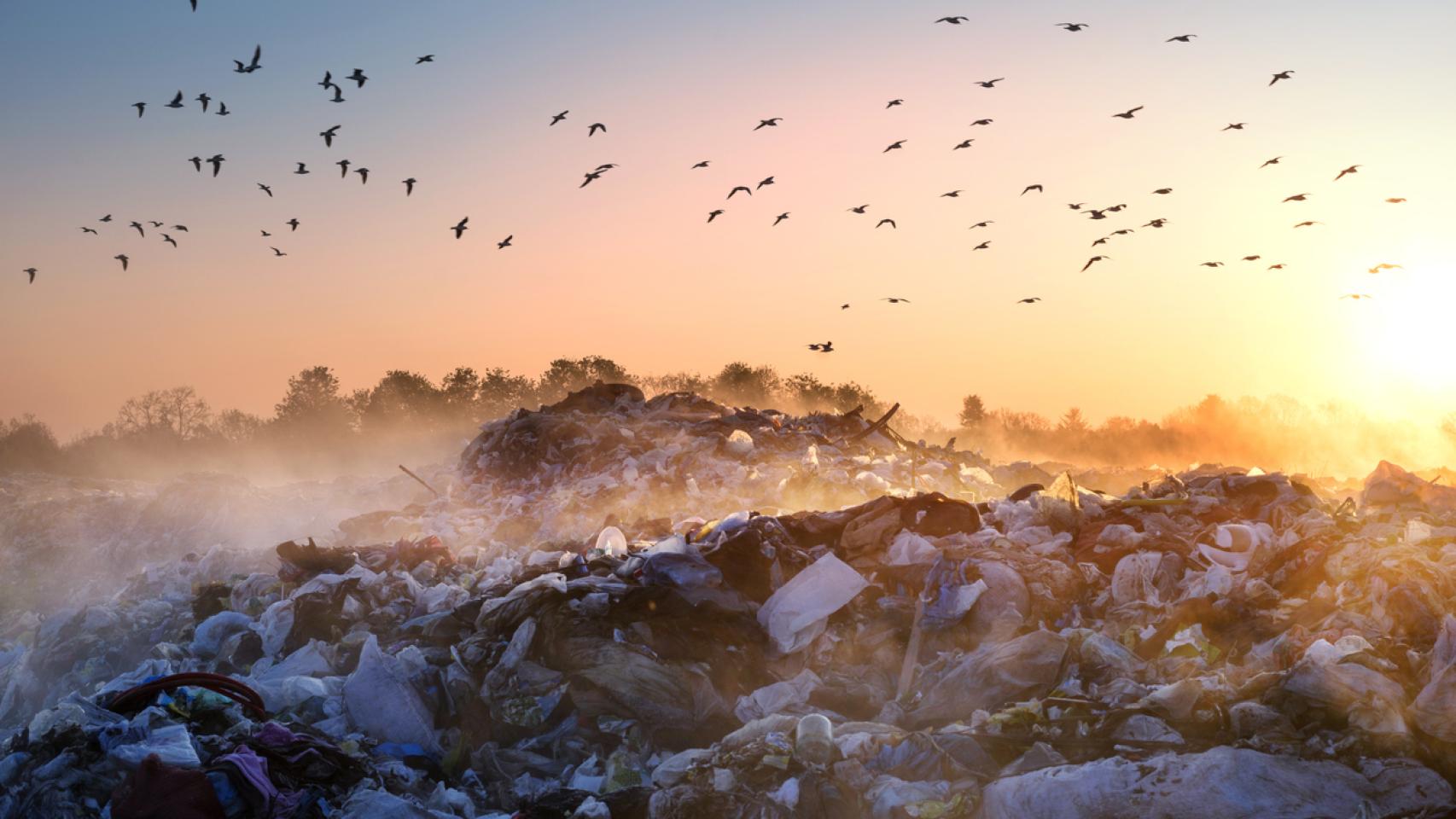 No es verde todo lo que reluce: ¿Cómo saber si una empresa está haciendo ‘greenwashing’?