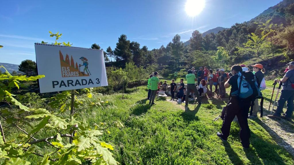 Un instante de la actividad de la UA.
