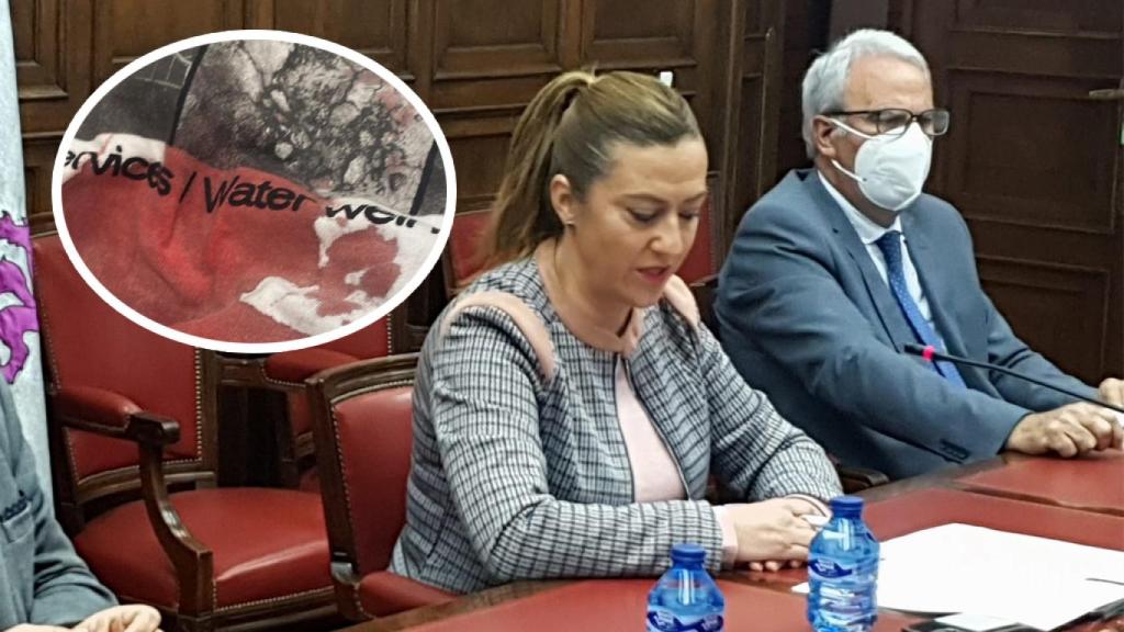 Virginia Barcones, delegada del Gobierno en Castilla y León