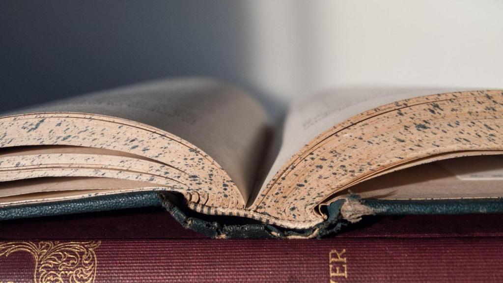 ¿De dónde proviene el apellido 'Alcaraz' y qué significa?