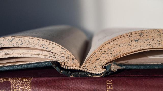 ¿De dónde proviene el apellido 'Alcaraz' y qué significa?