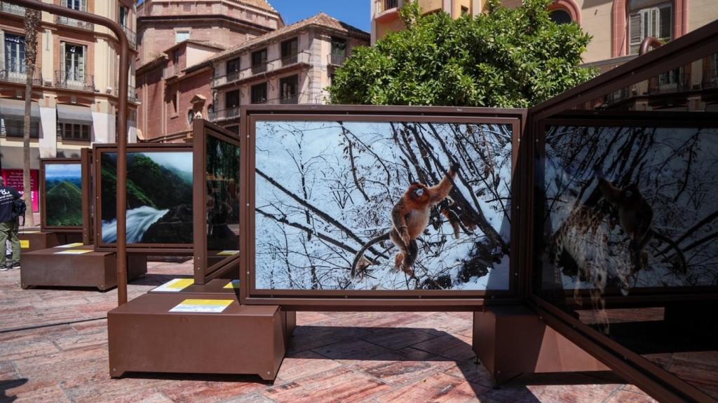 Una imagen de la exposición.