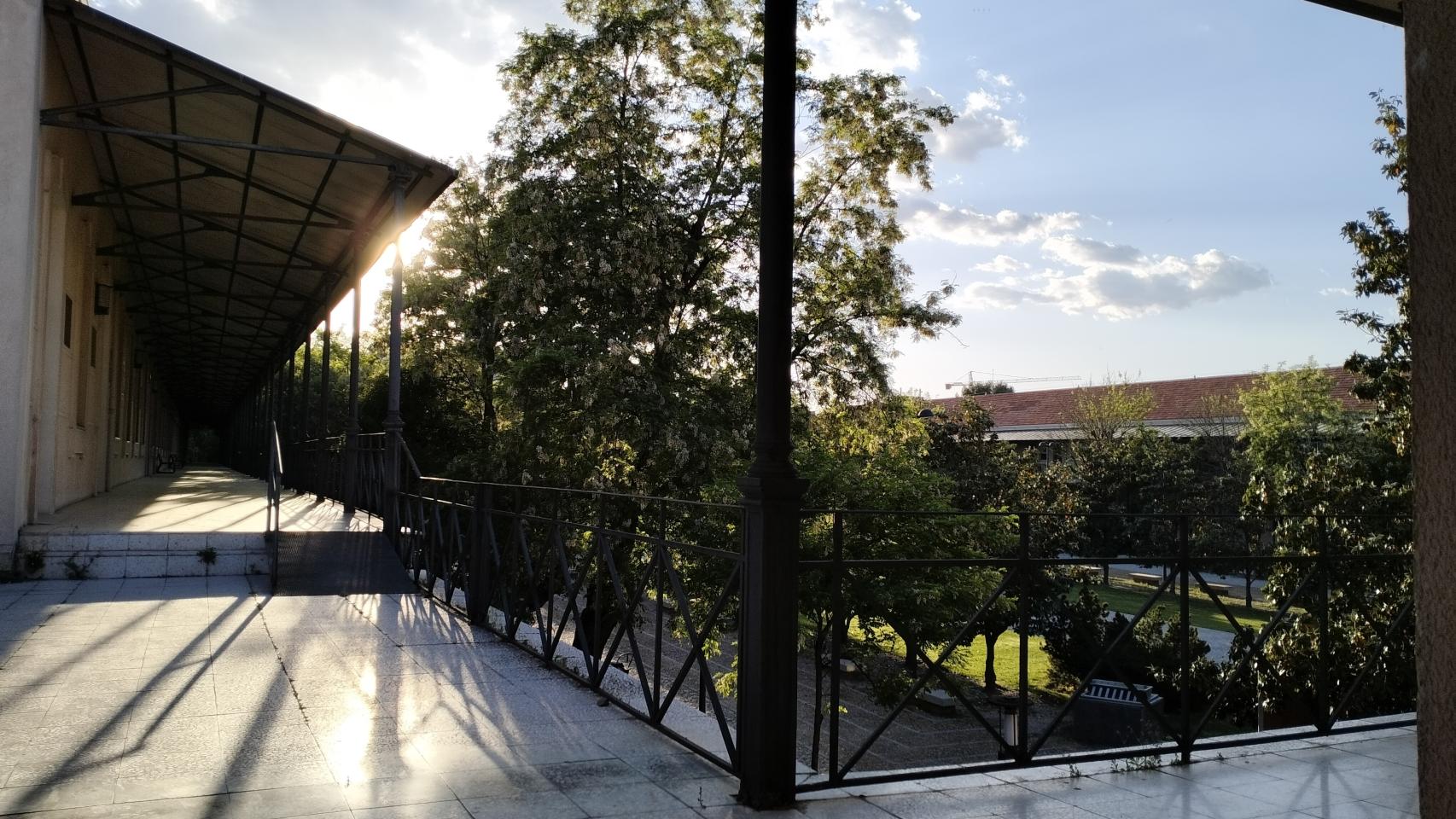 Imágenes tomadas con el realme 9