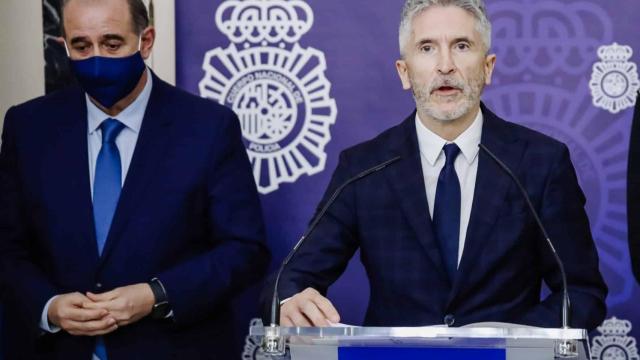 El Director General de la Policía, Francisco Pardo Piqueras y el ministro del Interior, Fernando Grande-Marlaska (d).