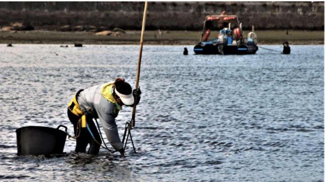 Exposición ‘Xentes do Mar’