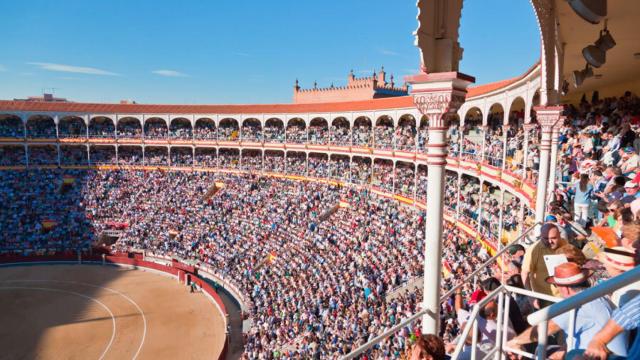 El color de la Fiesta