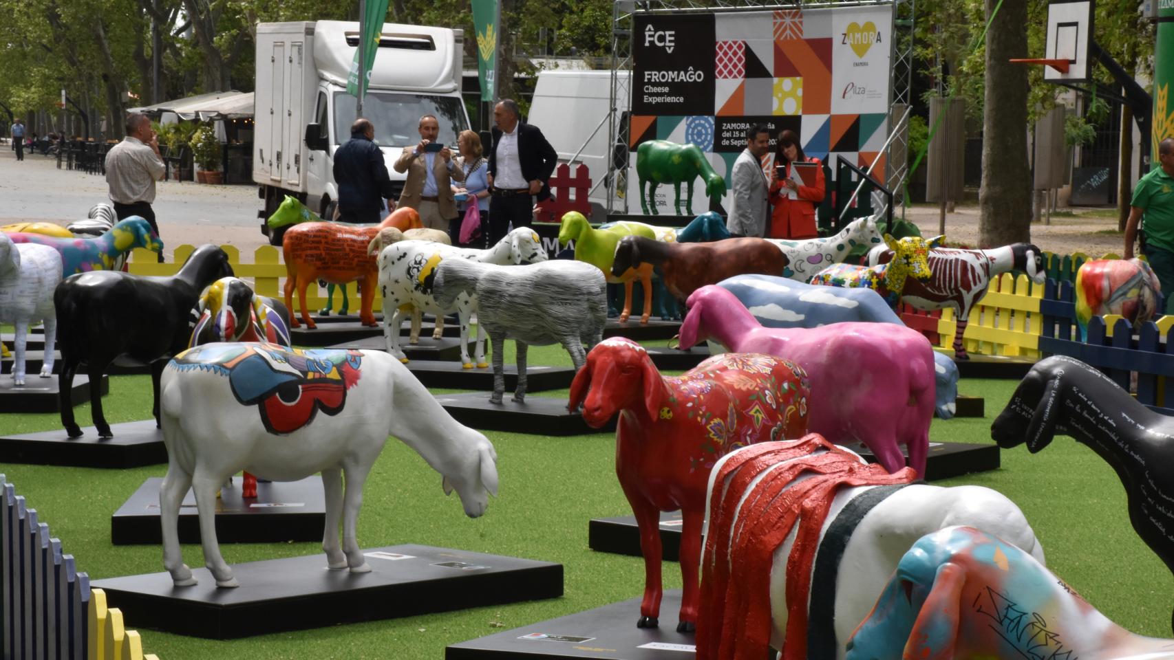 Exposición de 'Ovejas Cheese Fromago Experiencie' de la Diputación de Zamora en Valladolid.