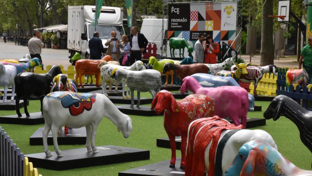 Exposición de 'Ovejas Cheese Fromago Experiencie' de la Diputación de Zamora en Valladolid.