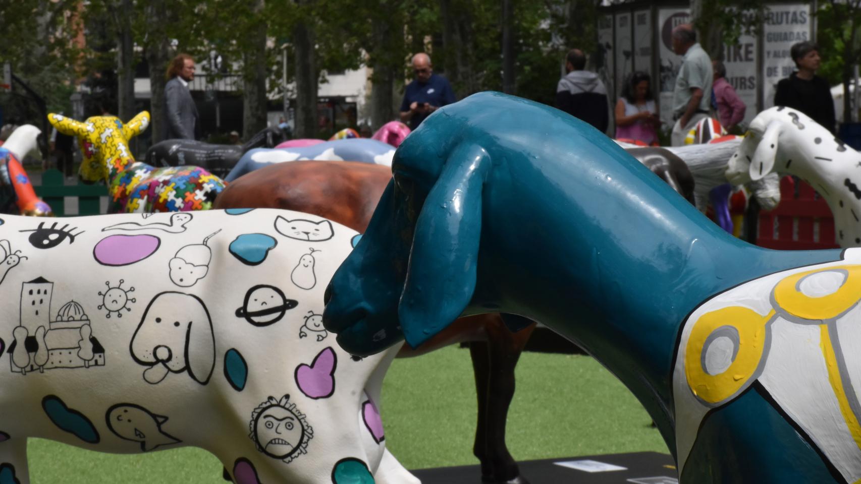 Exposición de 'Ovejas Cheese Fromago Experiencie' de la Diputación de Zamora en Valladolid.