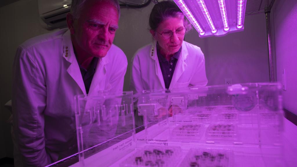 Los investigadores Rob Ferl y Anna-Lisa Paul junto a los cultivos lunares.