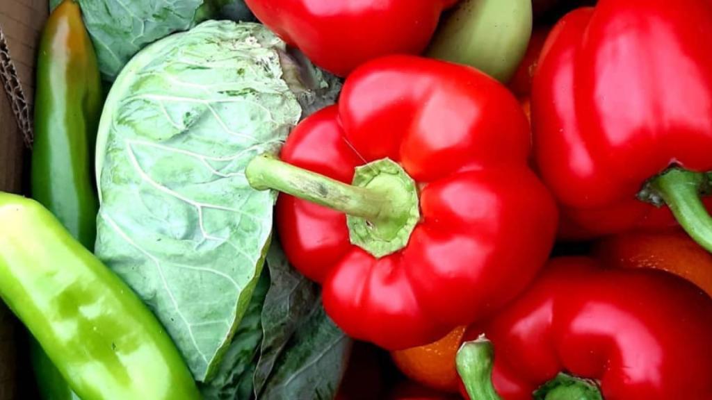 Pimientos de Huerta Prado
