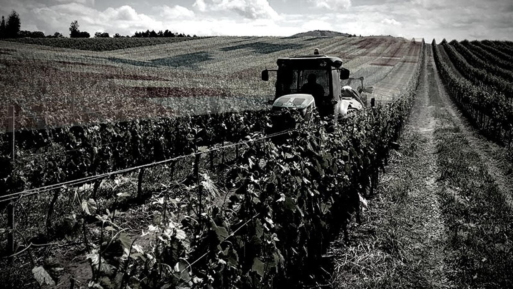El PERTE agroalimentario se examina. Europa Press.