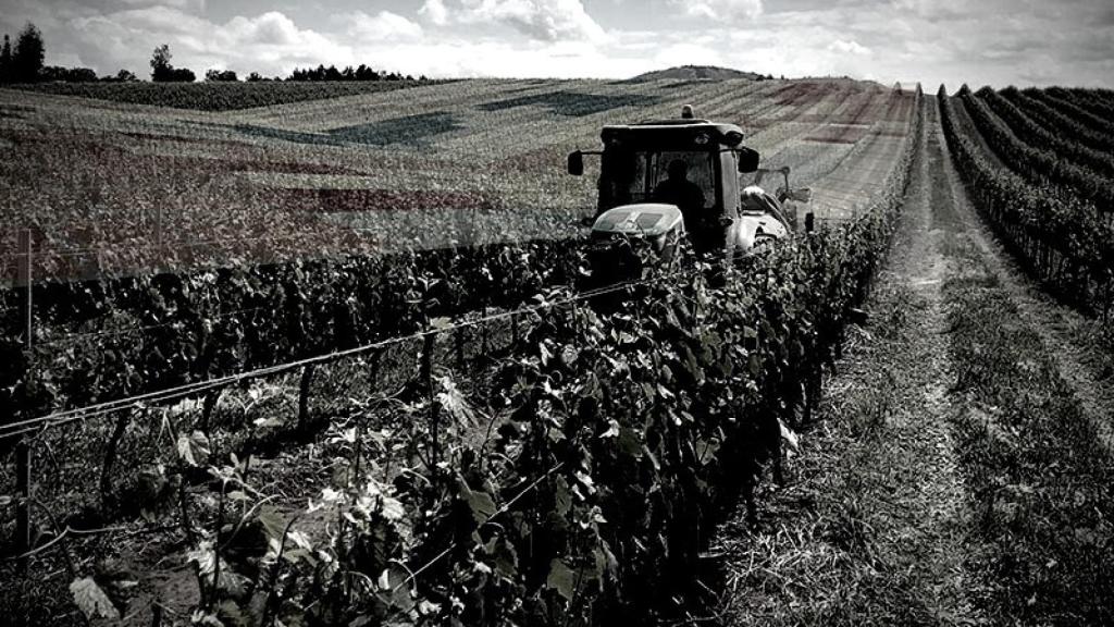 El PERTE agroalimentario se examina. Europa Press.