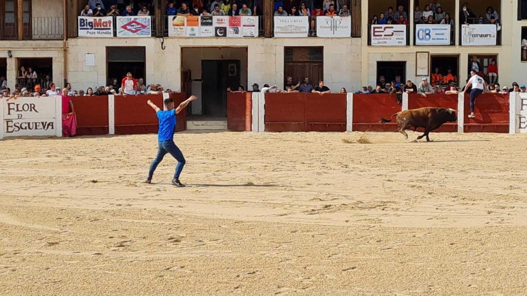 Vuelven los toros a Peñafiel