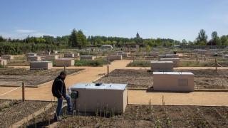 Huertos urbanos en Salamanca. Fotografía: Susana Martín / ICAL
