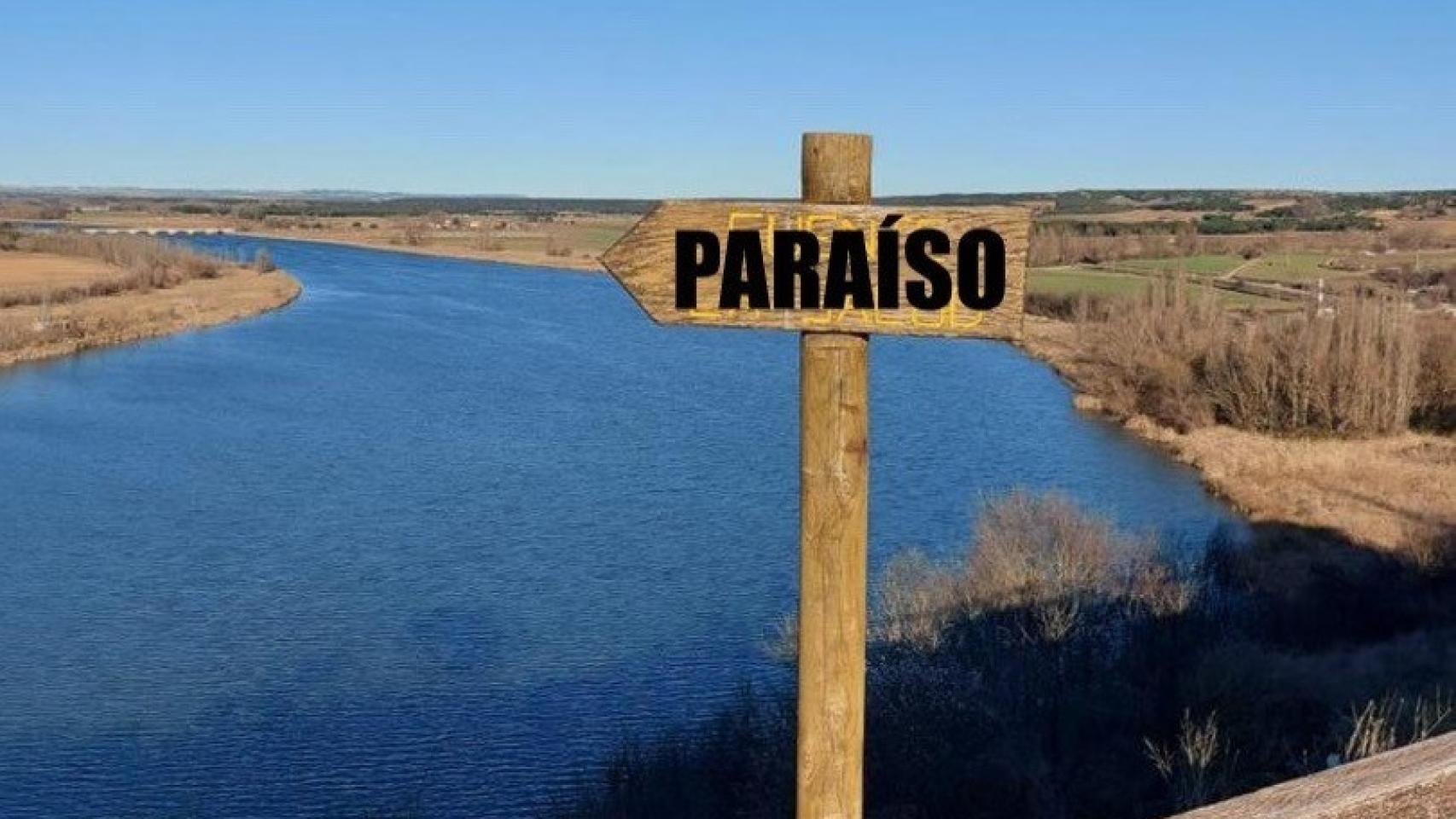Imagen del cartel en Castronuño