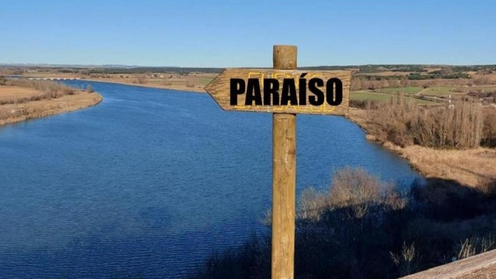 Imagen del cartel en Castronuño