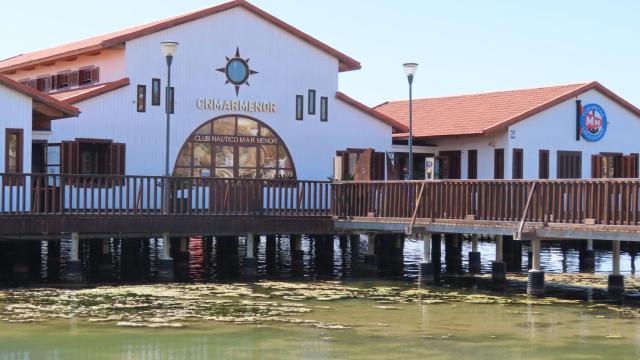 La 'sopa verde', este 11 de mayo, frente al Club Náutico Mar Menor.