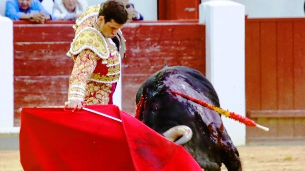 Feria de San Pedro Regalado