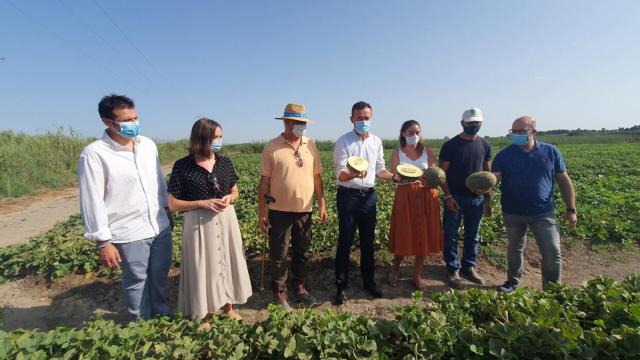 El alcalde de Elche con los regantes del municipio, en la recogida del melón de Carrizales.