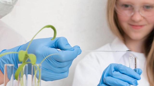 Campus científico de verano