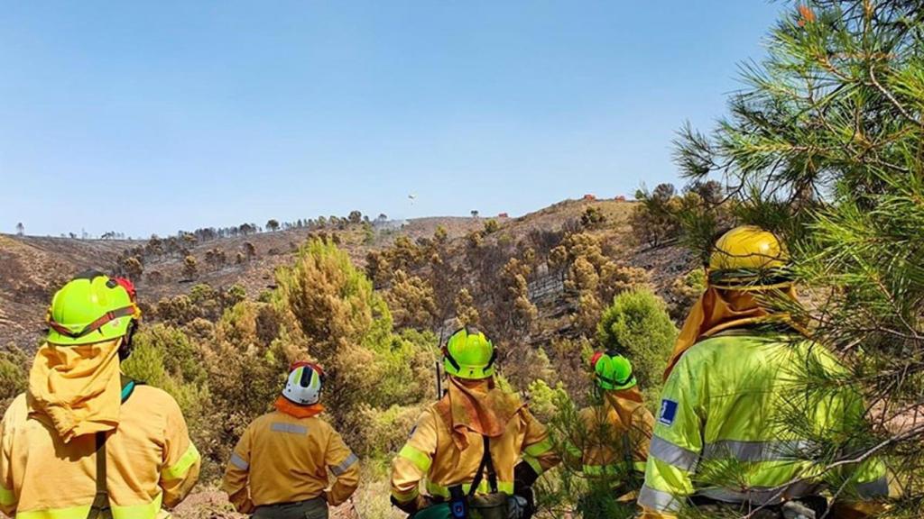 Castilla-La Mancha valora adelantar las campaña de incendios por la subida de temperaturas