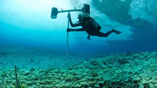 Un biólogo marino analiza el fondo del mar.