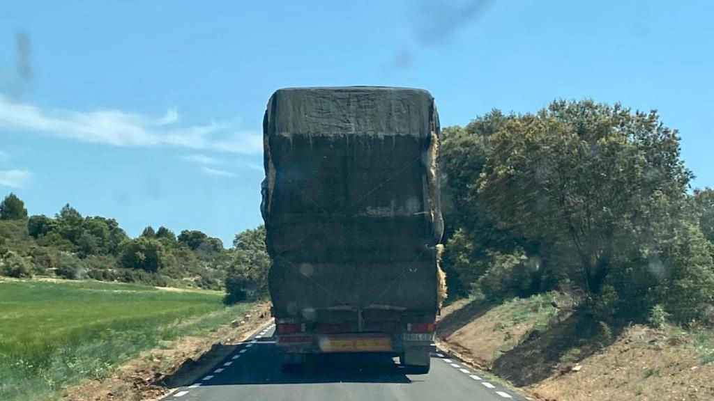 Un camión circula por la CM-3009.
