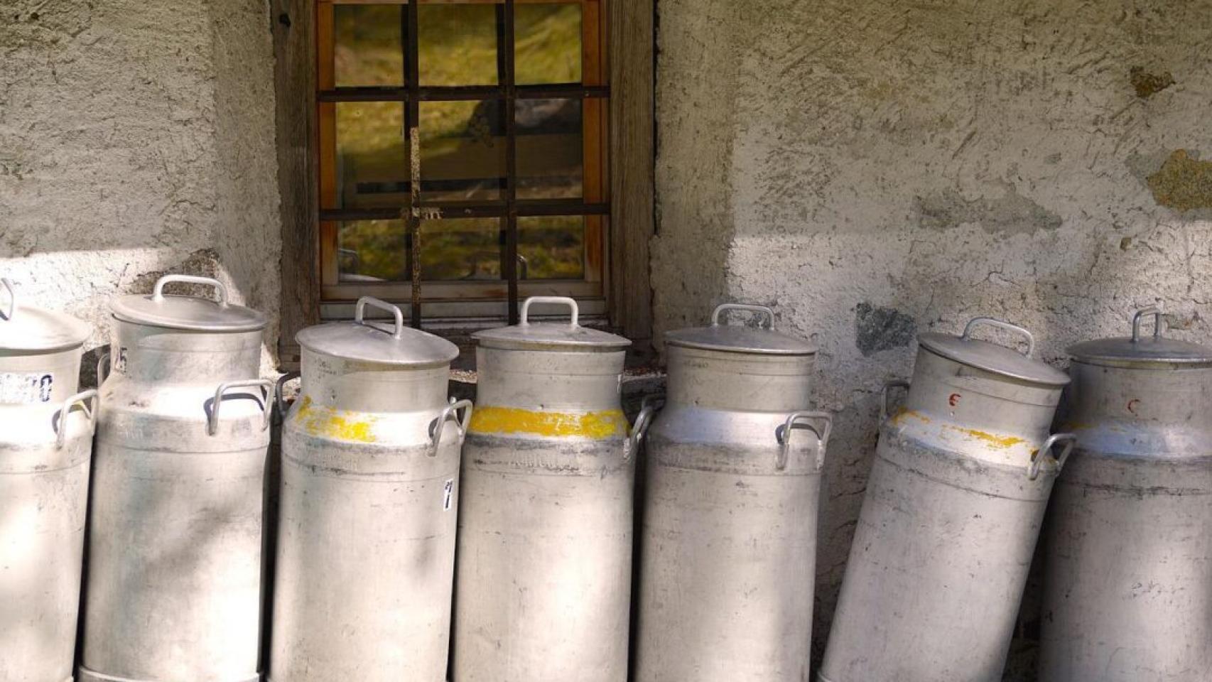 Explotaciones de vacuno de leche