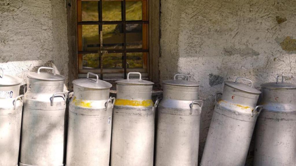 Explotaciones de vacuno de leche