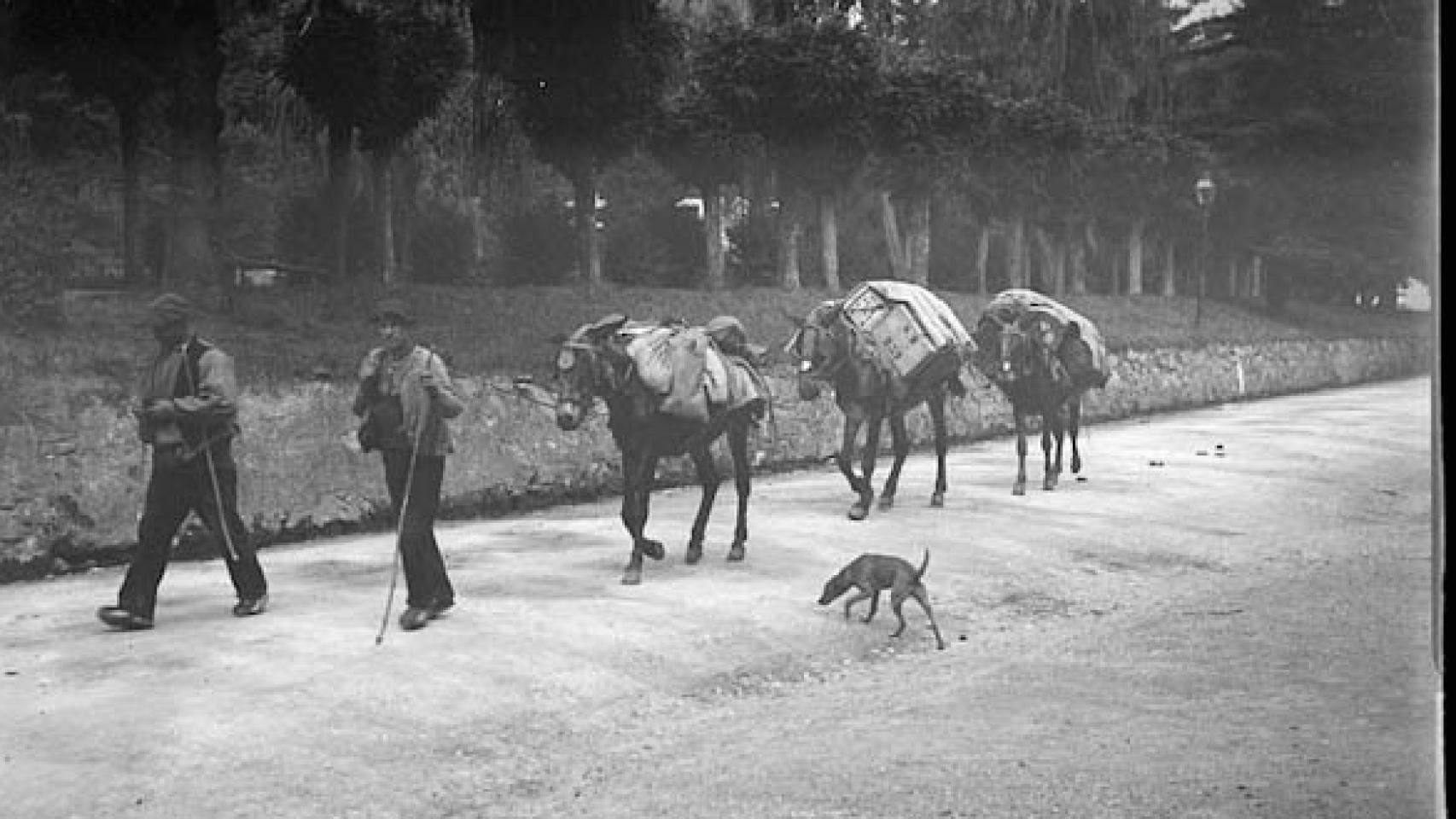 Arrieros de antaño recorriendo los caminos de herradura./ Archivo