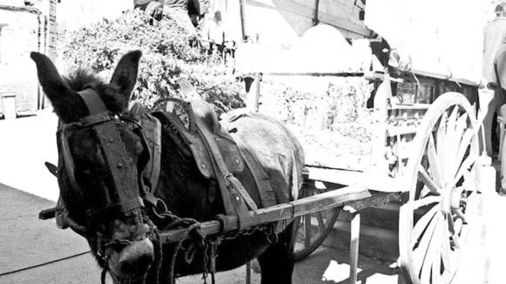 Carro de Fuenterroble de Salvatierra