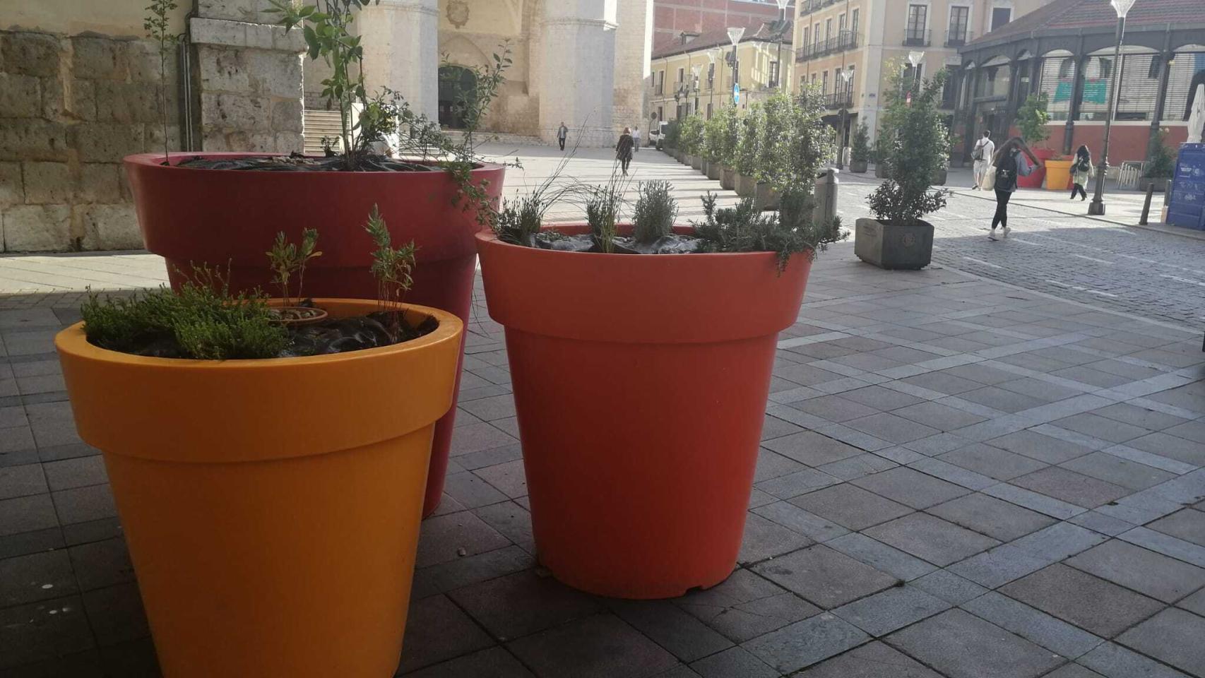 Las macetas gigantes invaden Valladolid